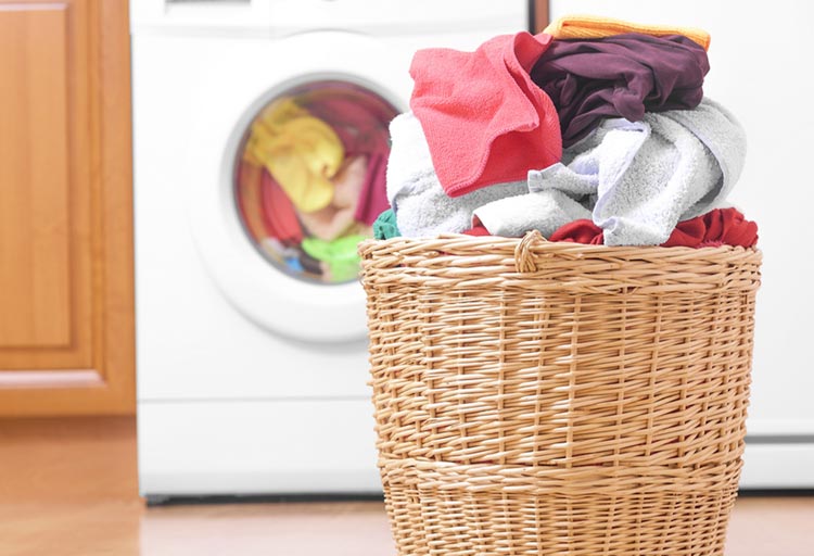 Laundry Basics